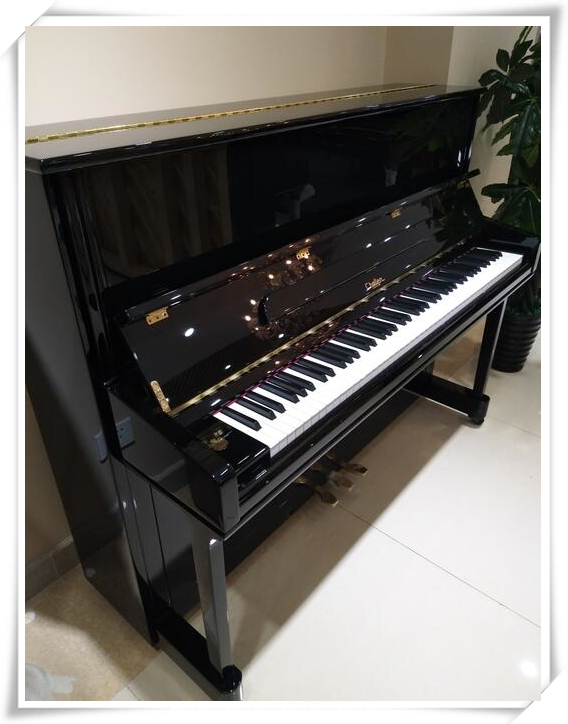 Giai điệu siêu ấm! Đàn piano nổi tiếng thế giới Anh Charlene nhập khẩu đàn piano dành cho người lớn đàn piano casio
