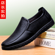 Red Dragonfly Mens Leisure Shoes Men Leather Business Formal Fashion Shoes Fall and Winter Head Cow Leather