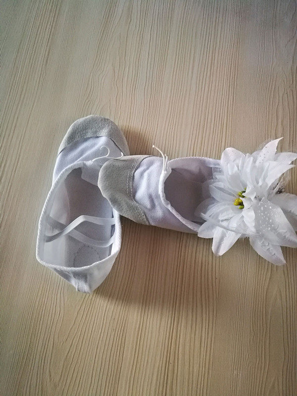 little swan dance shoes