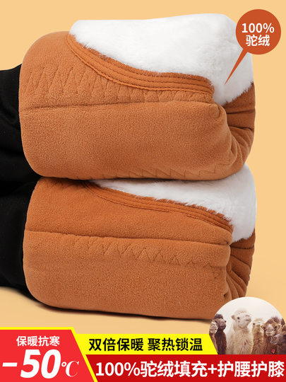 Fleece-Lined Leggings for Women, Autumn and Winter Outerwear, Camel Wool Cotton Pants, 2025 New Style, Thickened Pants for Northeast, Black Thermal Pants