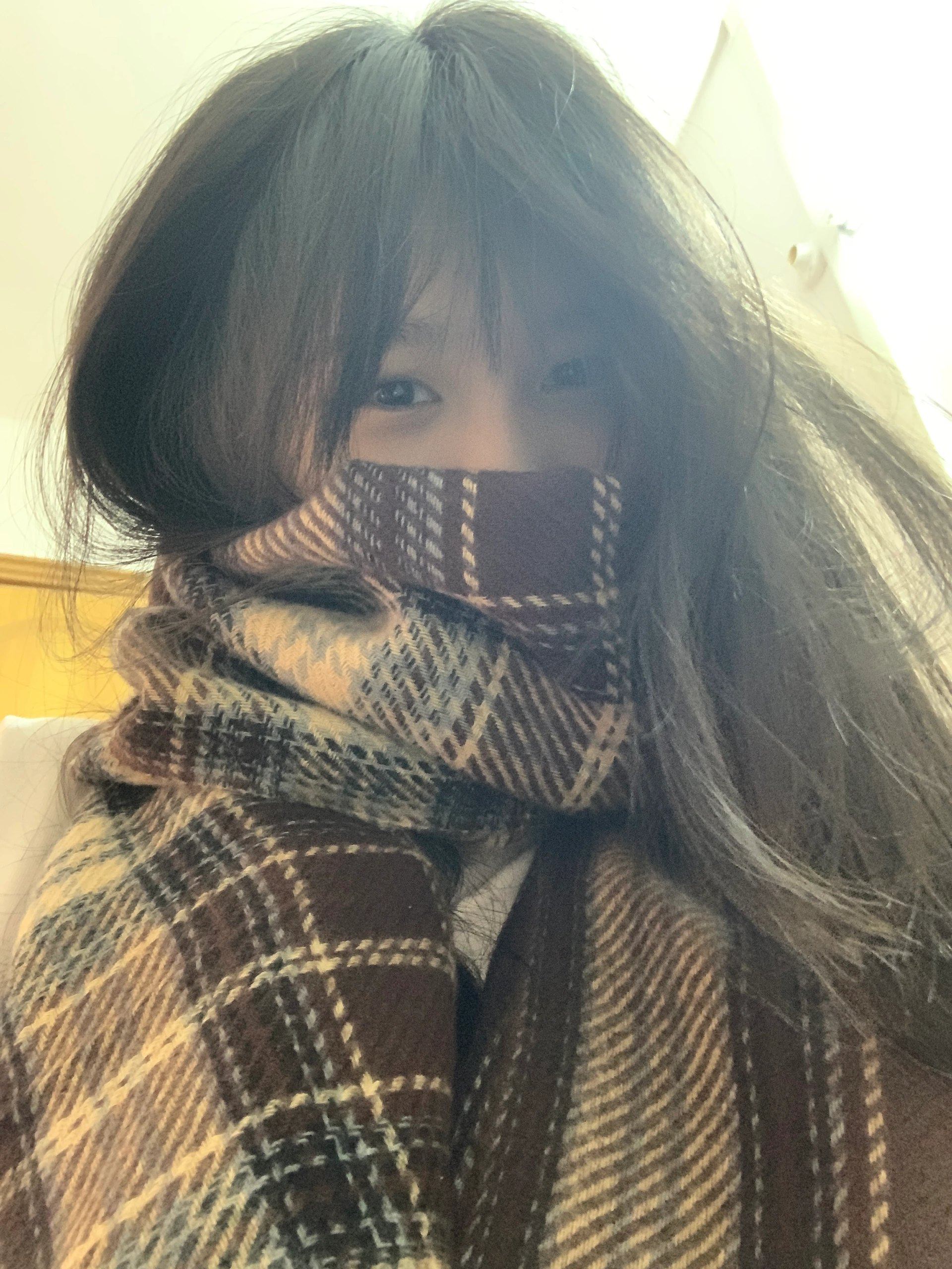 2026 New Autumn/Winter Faux Cashmere Plaid Scarf, Warm, Versatile, Korean Style, Unique Gift for Students and Women