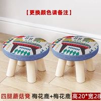 Четырехлетные грибы