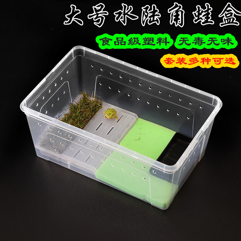 Corner Frog Rearing Box Special Amphibious Rearing Case small turtle salamander Frog Salamander With Sundae for a View Climbing Climbing rearing box