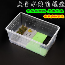 Horned frog feeding box special amphibious feeding box small turtle salamander frog belt drying table landscaping climbing pet feeding box