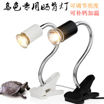 Tortoise basking lamp UVA UVB3 0 solar lamp reptile heating lamp tempering lamp holder tortoise cylinder full spectrum tortoise