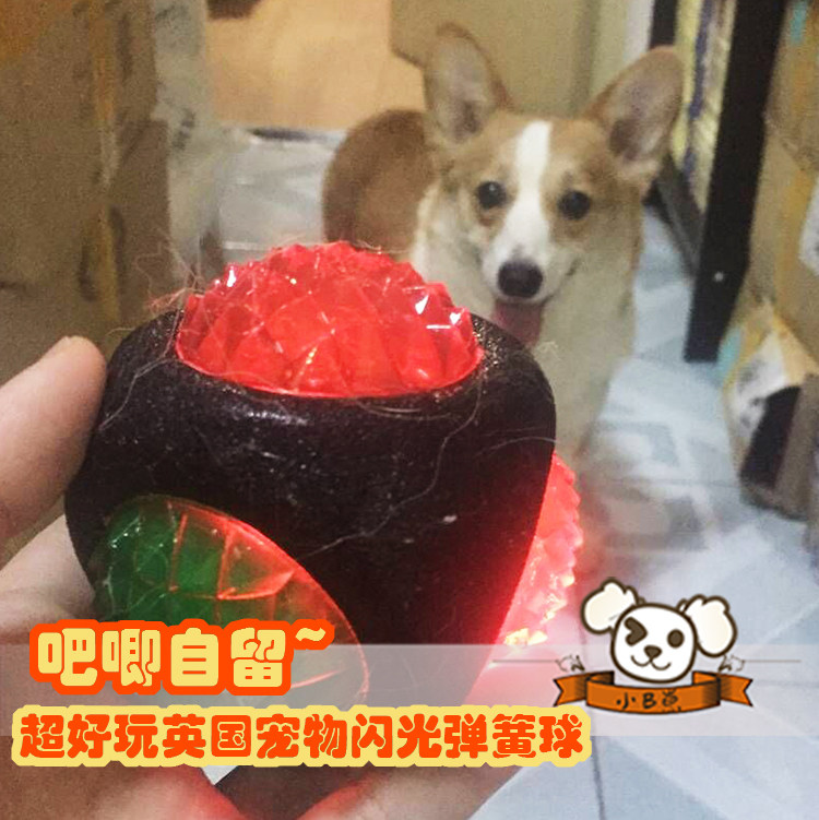Self-retained UK imported Rosewood pet dog toy flash spring ball luminous ball bone can float water