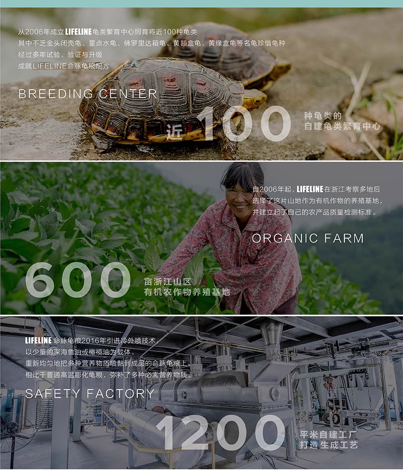 Подробная информация о Lifeline Half-Water Turtle Food_21.png