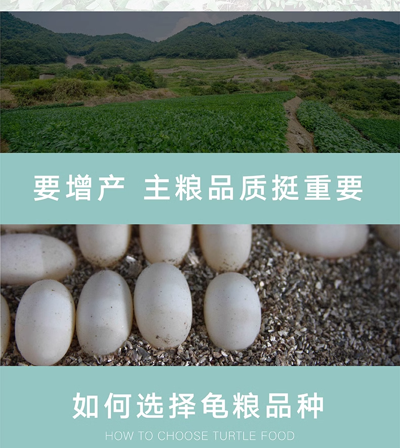 Подробная информация о Lifeline Half-Water Turtle Food_13.png