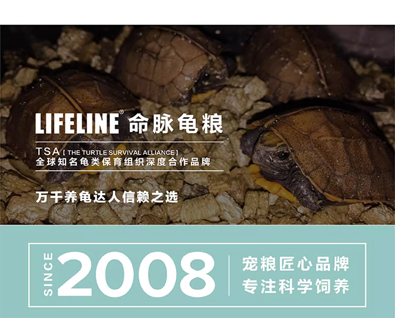 Подробная информация о Lifeline Half-Water Turtle Food_01.png