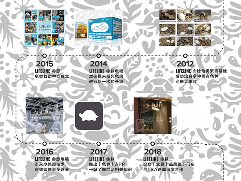 Подробная информация о Lifeline Half-Water Turtle Food_25.png