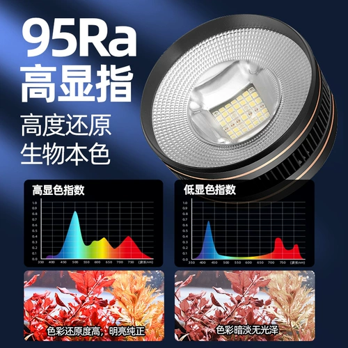 Аквариум, светодиодный потолочный светильник, водные растения, комфортный световой спектр