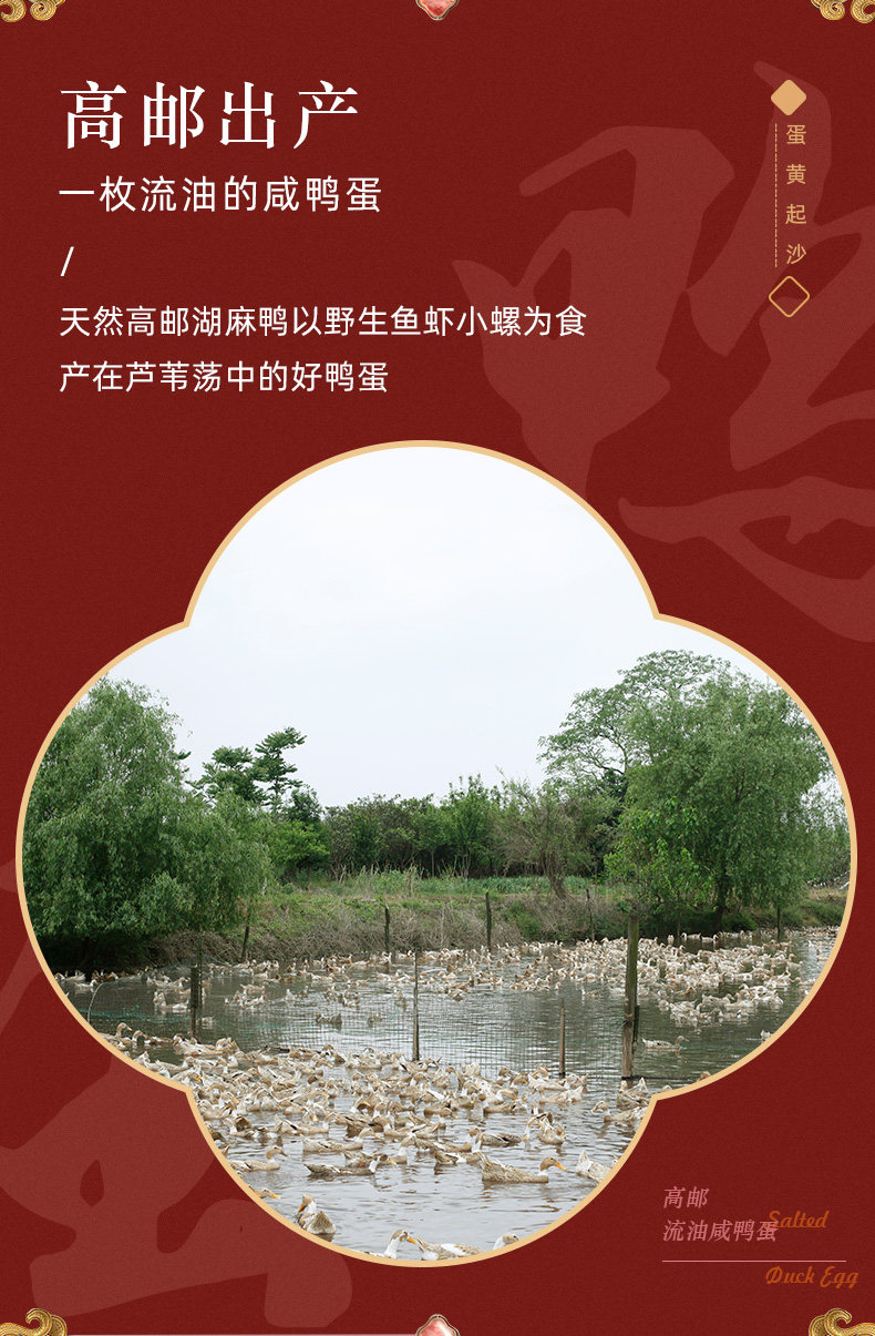 薇娅推荐 真邮&向往的生活 正宗高邮红心咸鸭蛋 70g*20枚彩盒装 图2