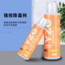 Fish tank algae remover does not hurt fish pond Algae remover Algae remover Algae remover Green algae remover Algae remover Moss remover