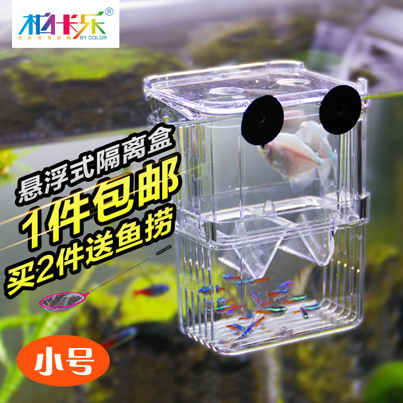 Fish tank aquarium suspended Isolation box fish Miao peacock juvenile fish hatchbox Protection box Large number