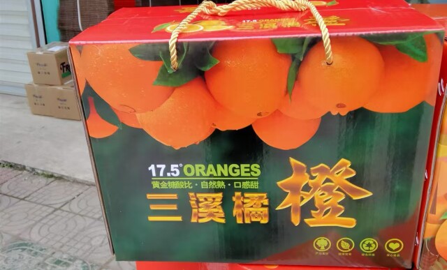 金堂脐橙园的LOGO