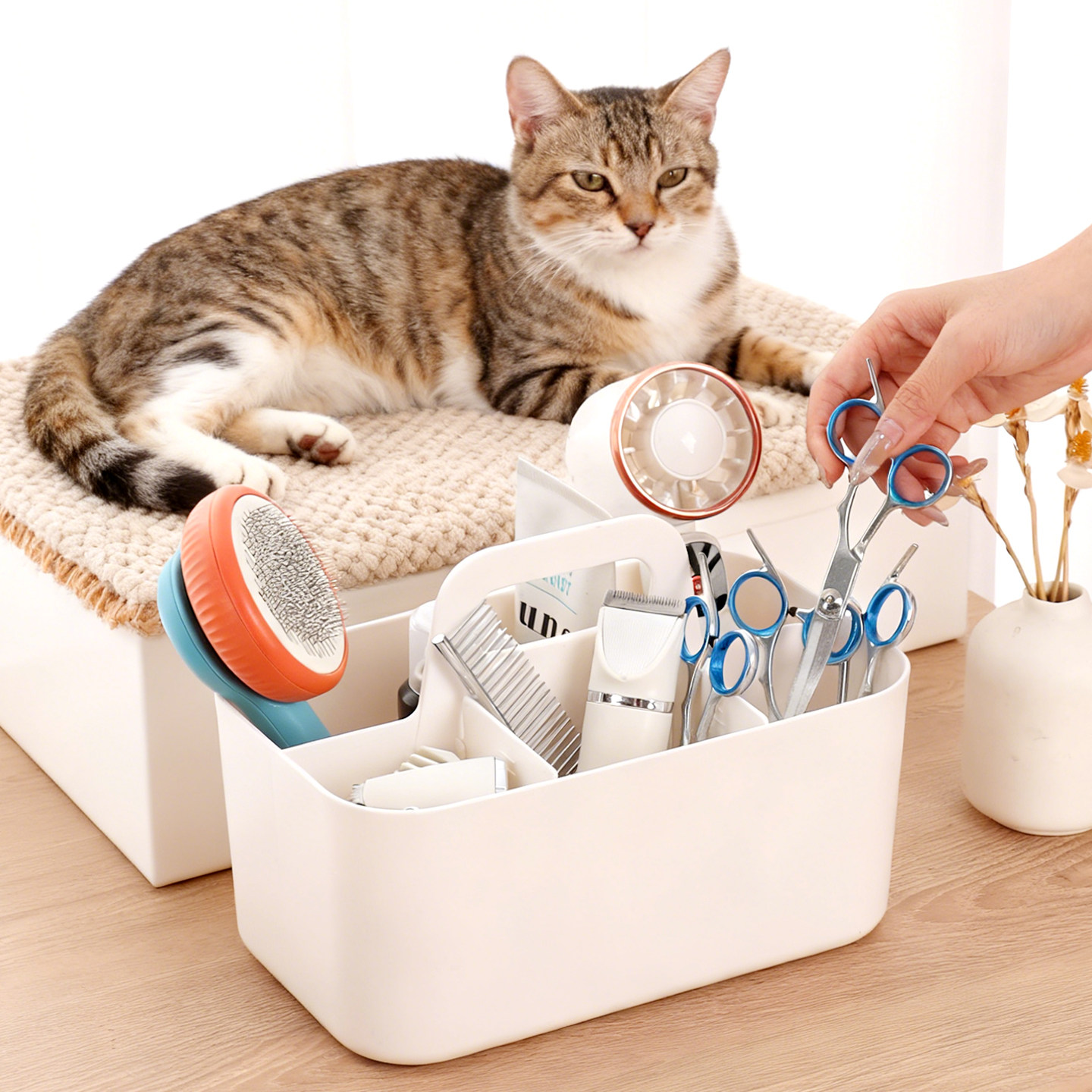 Pet grooming storage master Mrun pet grooming supplies storage box 🌟