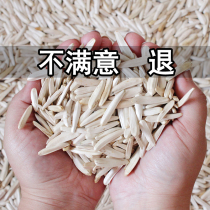 White melon seeds bag small packaging bulk Xinjiang specialty melon seeds original five-flavor cream white melon seeds big