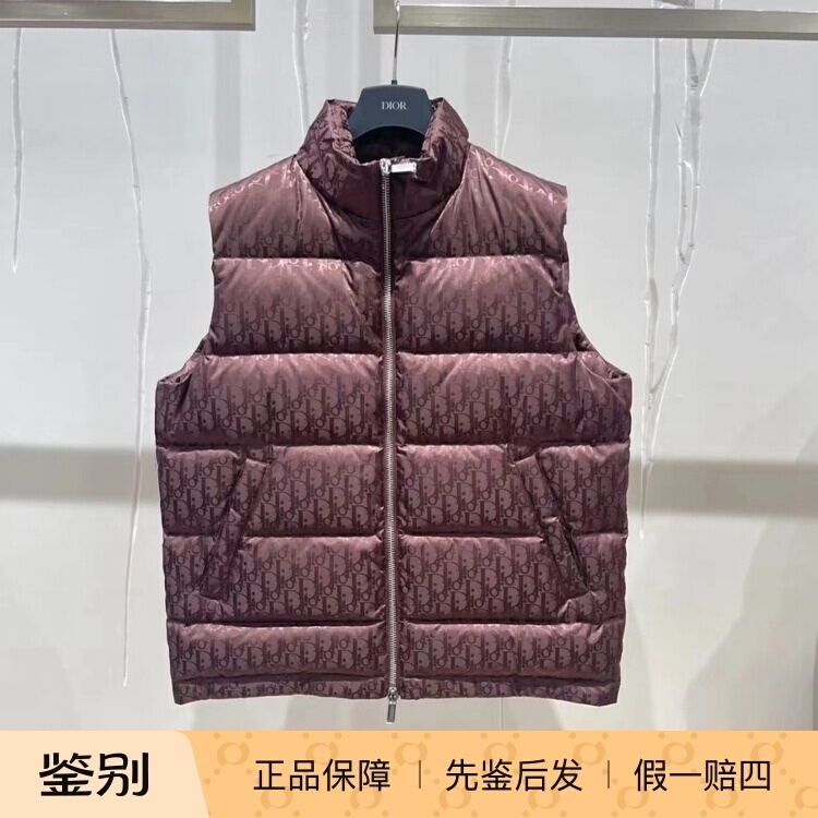 In-Stock Dior Men's Brown Monogram Full-Print Thick Stand-Collar down Vest 033C410