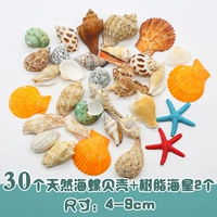 30 комбинация раковины раковины+две смола звезды