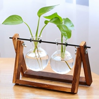 Двойная бутылка в стиле ретро + потос + подокарпус + карманный кокос