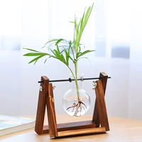 Одна бутылка в стиле ретро + потос + подокарпус + карманный кокос