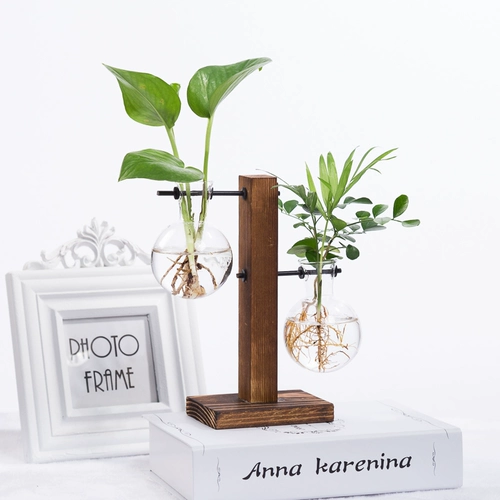 Творческая деревянная полка гидропонные зеленые растения Внутреннее зеленое растение зеленое горшок маленький стеклянный ваза офис на рабочем столе украшения