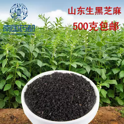 Black Sesame raw bulk 500g non-stained clean and wash-in new grains with black beans and black rice cooking porridge