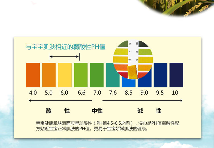 Khăn lau trẻ sơ sinh dễ thương cho bé sơ sinh rắm ướt khăn tay trẻ em đặc biệt 80 bơm 5 gói 100 bán buôn shop đồ sơ sinh
