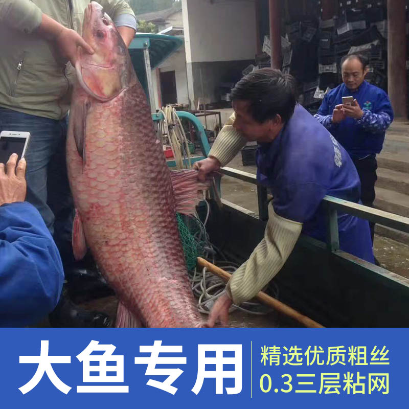 The old fisherman's three layers of rapture add to the sinking net fishing nets 0 3 yellow silk plus coarse slime nets grass carp silver carp army fishing nets