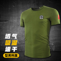 Summer pure cotton embroidery T-shirt short sleeve male Chinese scouts for training military units Special soldiers retired special combat clothes
