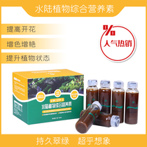 Surface-plant integrated nutrient solution rainforest cylinder amphibious potted plant potted microlandscapes apply growing fertilizer