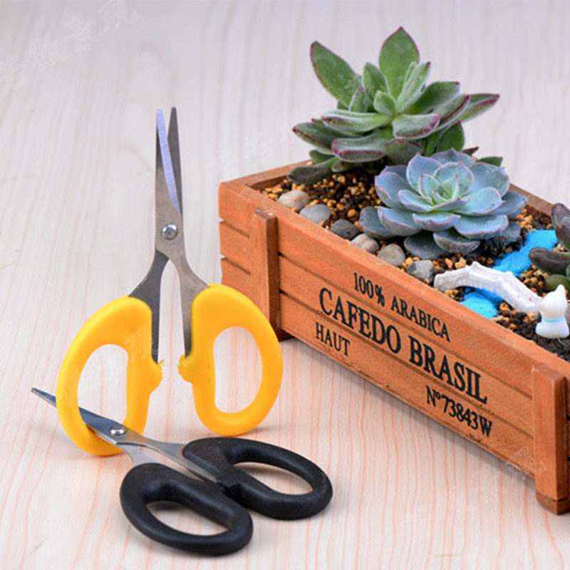 Creative moss micro-landscape plant fleshy pruning branches and leaves Pruning plant landscaping with fleshy micro-landscape scissors