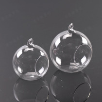 Creative Moss Multi-meaty Micro Landscape Pendulum Pieces Eco Bottle Bonsai Lovers Pendulum potted IY materials Small swing pieces