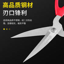 Home Scissors Stainless Steel Home Scissors Student Handcut Paper Cutting Thread Head Art Portable Office Medium
