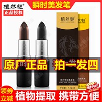 Tian Meng Merchant Lipstick Hair Pen Dyeing Pen Disposable Plant Instant Young Hair Pen