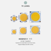 Pri Chip Led Lamp Pearl 30 W Spotlight Wick Remplacement Cob Light Source 5W10 Track Lamp Cylinder Light Patch Points saillants