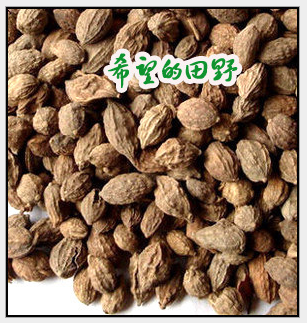 Farm products Rio Tinto Sand Rindern 500 gr Fragrant Sand Rindern Sand free Grinding Powder Seasoning Spices with 1 copy of Post-mail