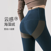 Shark pants wear spring and autumn tight waist tight hips and sweet yoga cycling Barbie pants