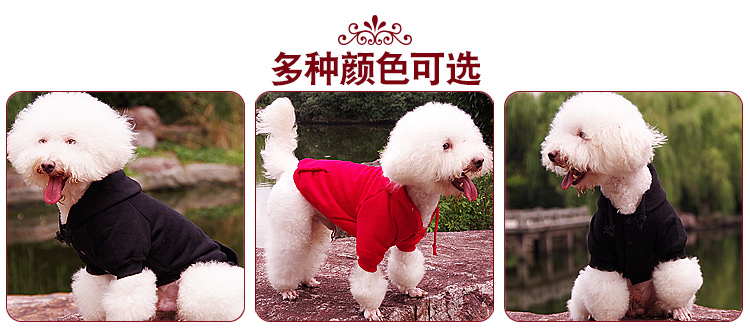 Quần áo cho chó Quần áo gấu hơn chó con chó nhỏ Chó cưng quần áo chó mùa thu quần áo mùa đông Teddy áo len - Quần áo & phụ kiện thú cưng mèo mặc áo