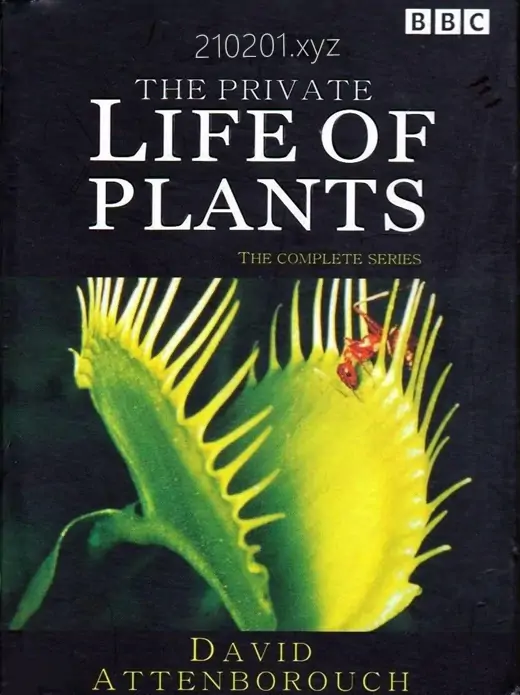 植物的私生活(The Private Life of Plants).webp