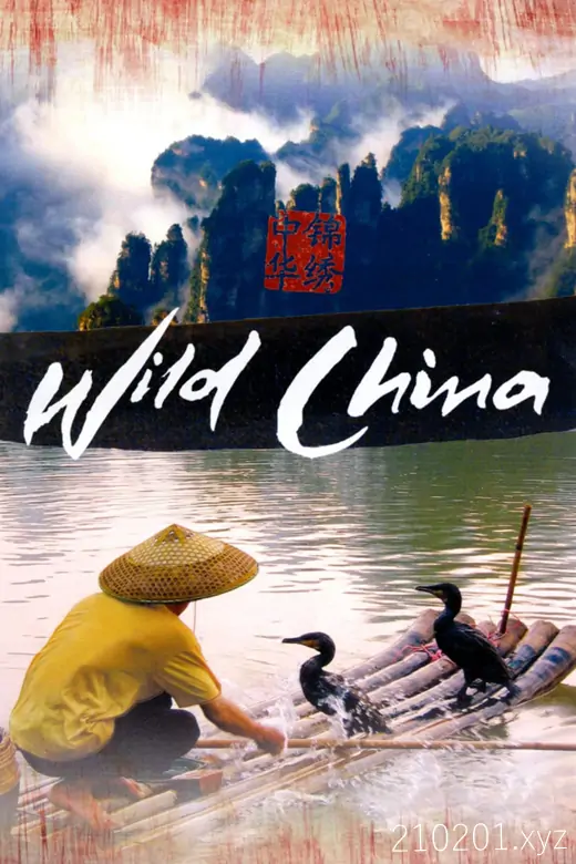 美丽中国 Wild China.webp