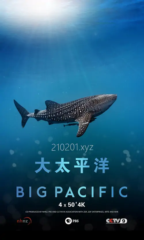 《大太平洋》纪录片中英文版高清视频资源全集在线观看下载
