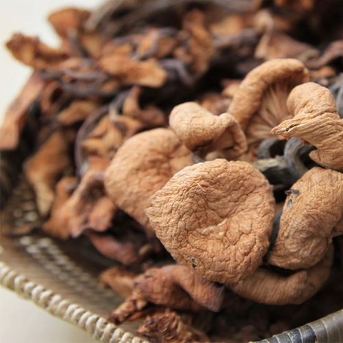 Hai Lingshan Zhen | Qingchuan Qinggang 100G Wild Green Barrobacteri