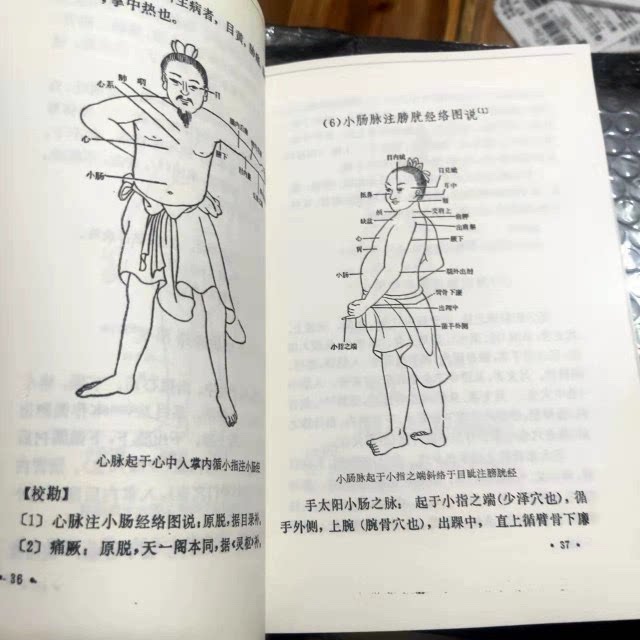 [in Stock with ] Ziyu Liuzhu Neijing/[Golden] Yan Mingguang's Traditional Chinese Medicine Ancient Texts and Old Books