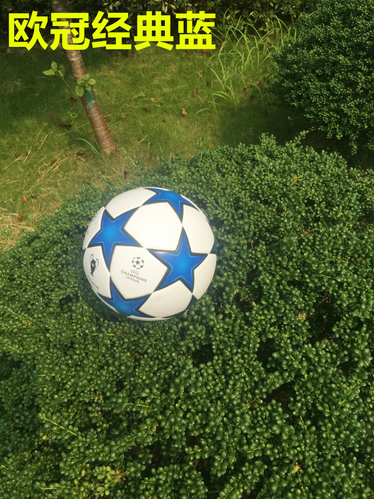 Ballon de foot - Ref 6575 Image 8