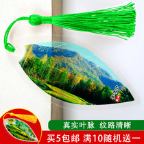 Ancient Wind Leaf Vein Bookmark Creative Little Fresh diy Material China Jilin Changbai Mountain scenic gift stationery flow Su