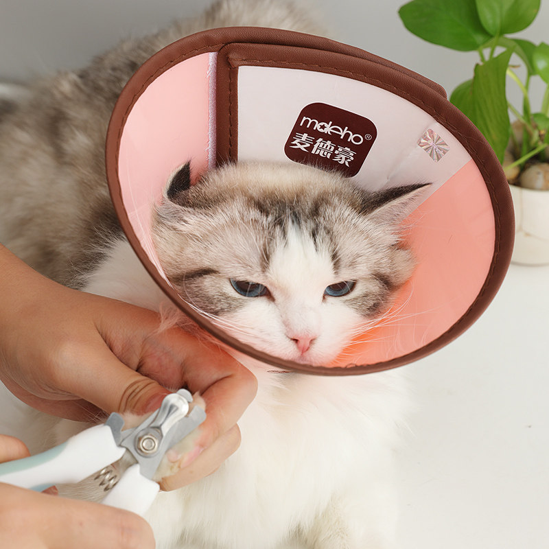 Pet Elizabeth ring dog collar anti-biting headgear cat deworming sterilization anti-licking cat dog shame scarf cover
