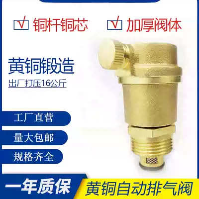 Brass exhaust valve heating automatic bleed valve Silk Port tap water pipe HVAC vent valve 4 points 6 points