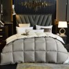 Natural Sleep Cotton Feather Duvet Core Double Size Winter Thickened Warm Feather Duvet Spring and Autumn Quilt Winter Quilt Gift