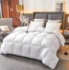 Natural Sleep Cotton Feather Duvet Core Double Size Winter Thickened Warm Feather Duvet Spring and Autumn Quilt Winter Quilt Gift